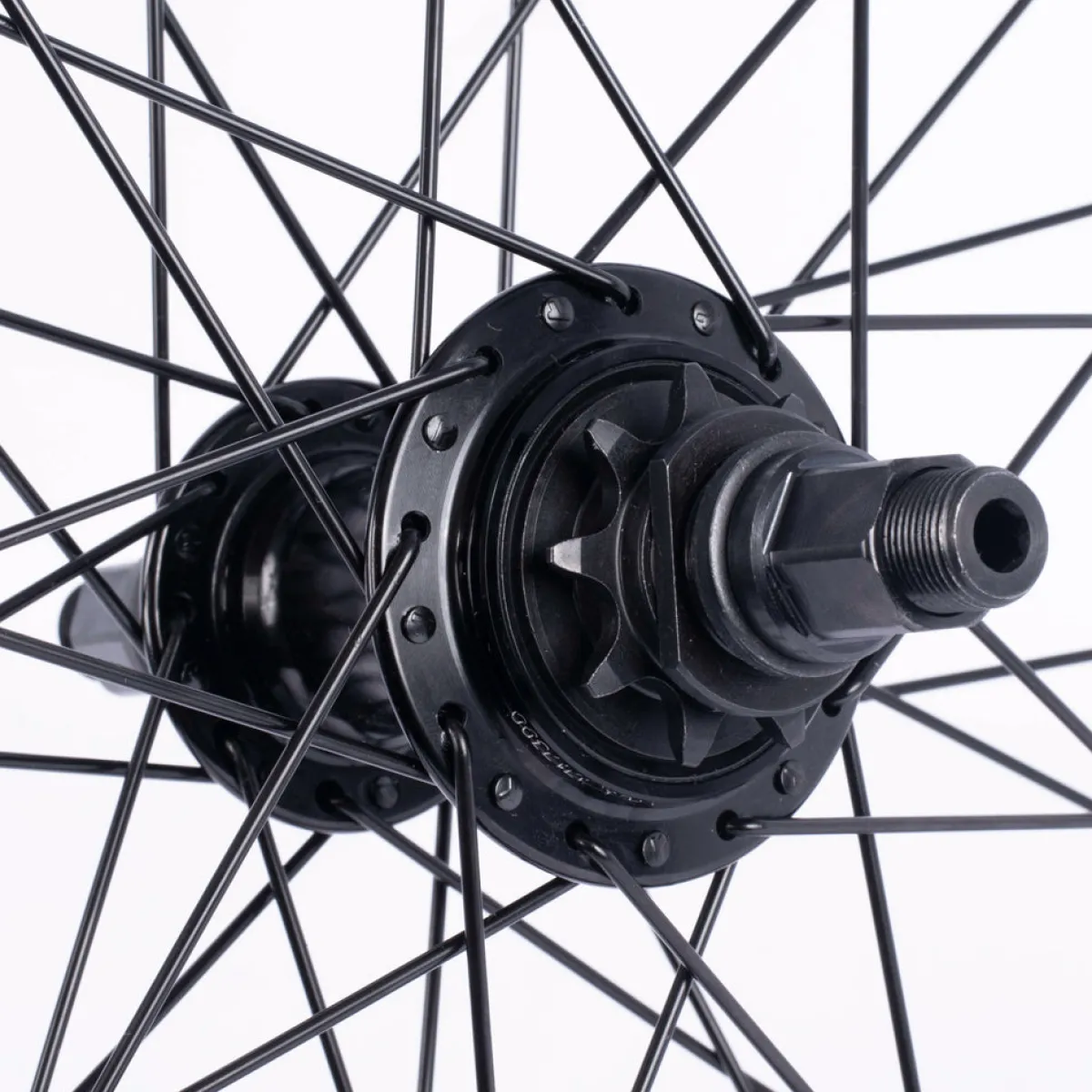 Best Sale CULT CREW Astronomical Wheel