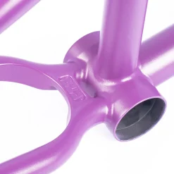Online CULT CREW 2-Short Panza Frame / purps